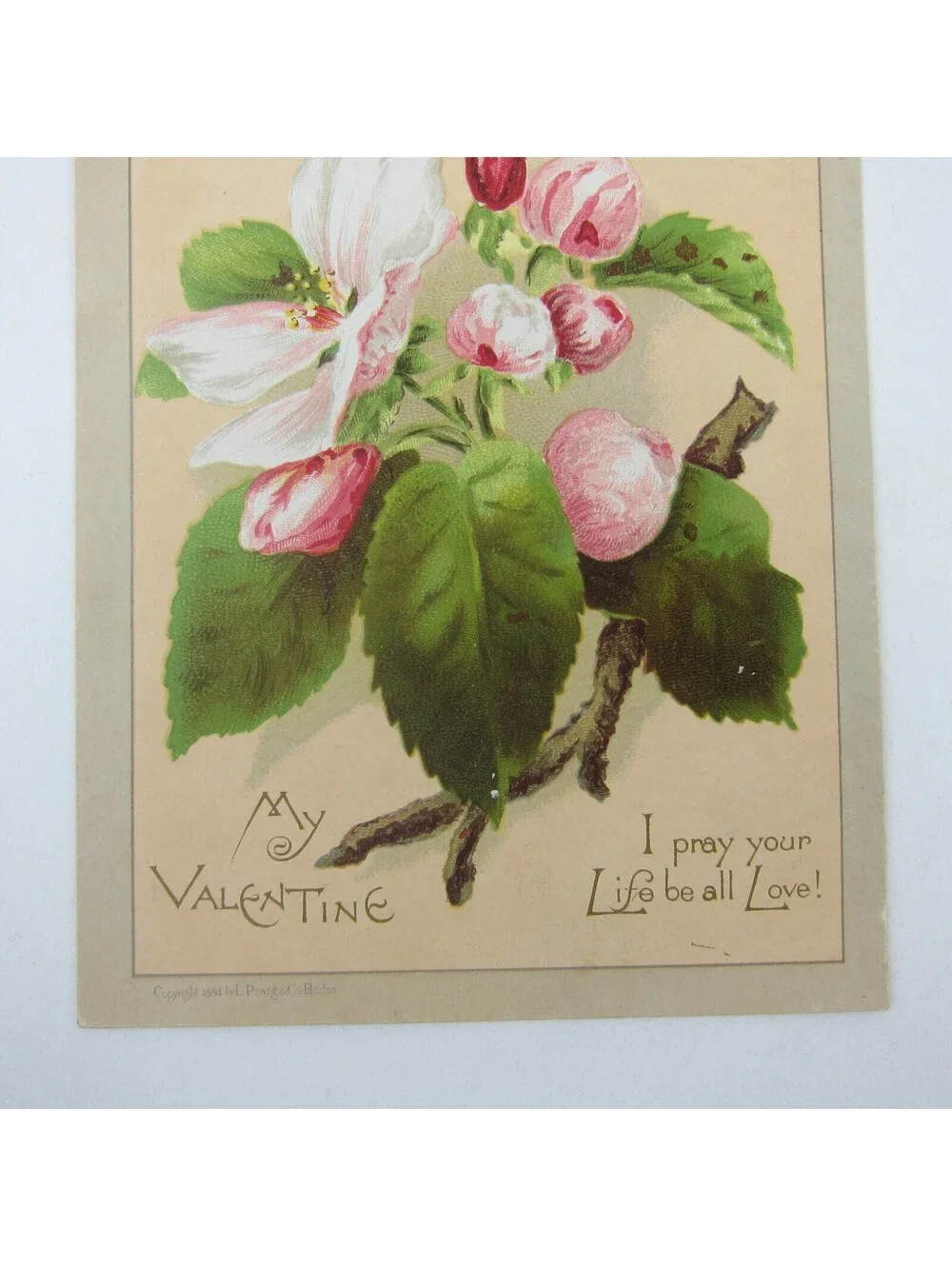 Victorian Greeting Card Valentine Pink White Apple Blossom Flowers Antique 1884